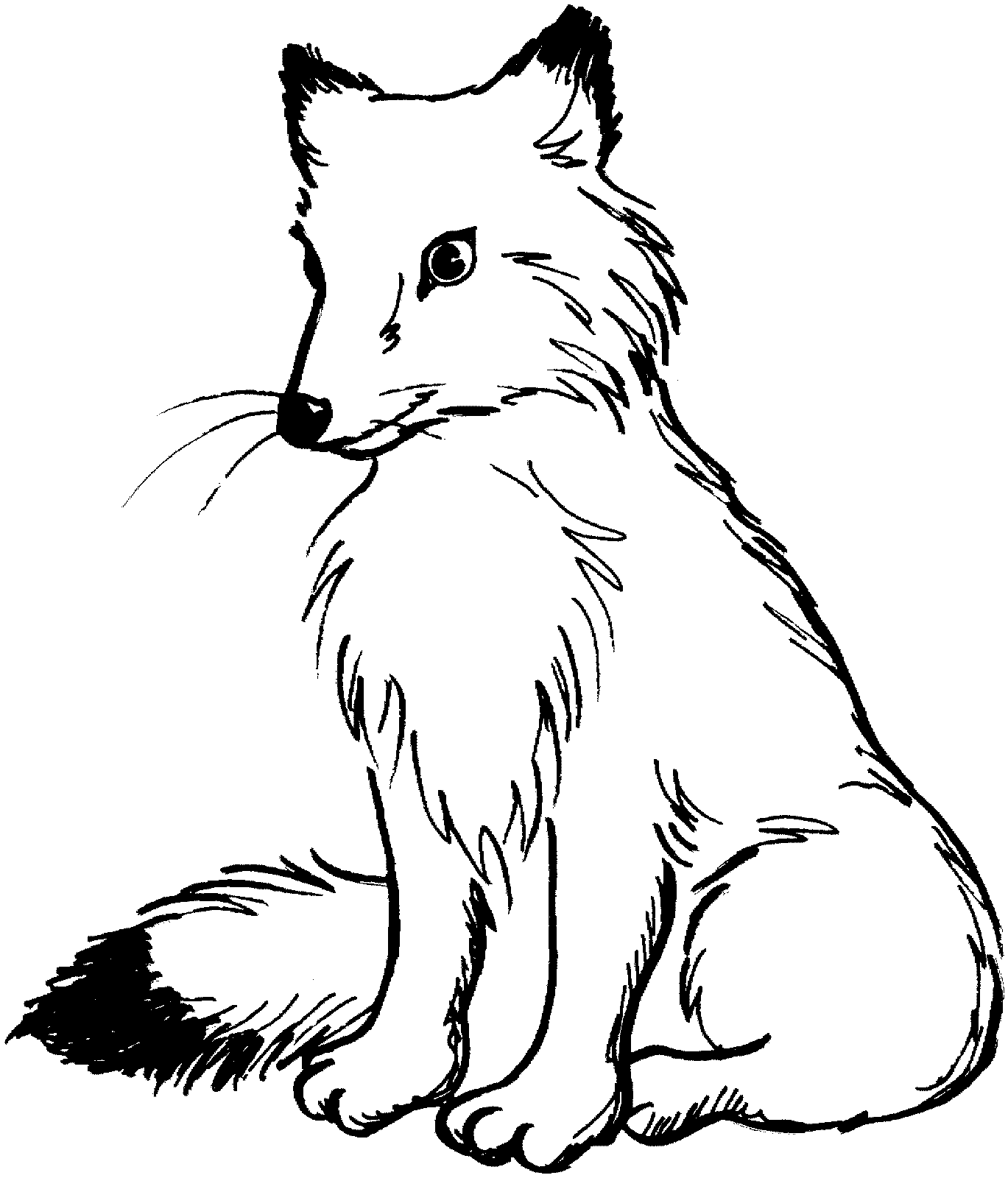 Coloriage renard