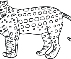 Coloriage guepard